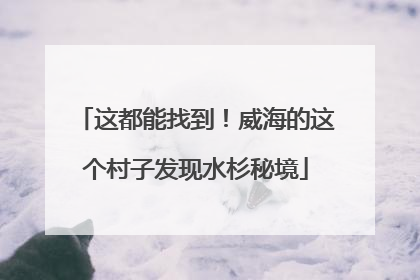 这都能找到！威海的这个村子发现水杉秘境