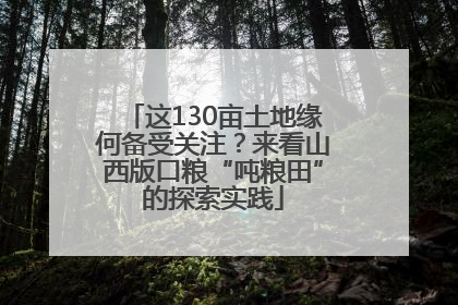 这130亩土地缘何备受关注？来看山西版口粮“吨粮田”的探索实践