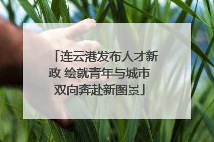 连云港发布人才新政 绘就青年与城市双向奔赴新图景