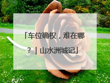 车位确权，难在哪？｜山水洲城记