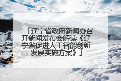 辽宁省政府新闻办召开新闻发布会解读《辽宁省促进人工智能创新发展实施方案》