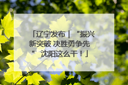 辽宁发布｜“振兴新突破 决胜勇争先” 沈阳这么干！