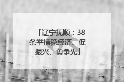 辽宁抚顺：38条举措稳经济、促振兴、勇争先