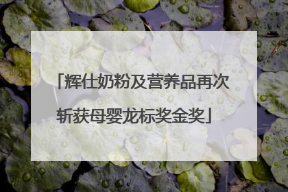 辉仕奶粉及营养品再次斩获母婴龙标奖金奖