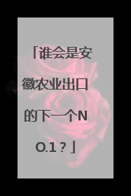 谁会是安徽农业出口的下一个NO.1？