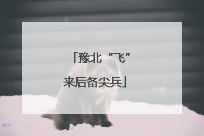 豫北“飞”来后备尖兵