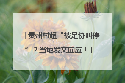 贵州村超“被足协叫停”？当地发文回应！