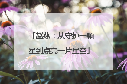 赵燕：从守护一颗星到点亮一片星空