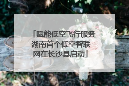 赋能低空飞行服务 湖南首个低空智联网在长沙县启动