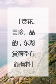 赏花、尝珍、品韵，东湖赏荷季有颜有料