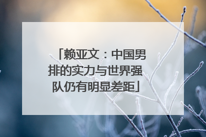 赖亚文：中国男排的实力与世界强队仍有明显差距