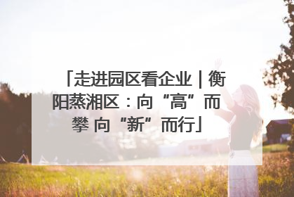 走进园区看企业｜衡阳蒸湘区：向“高”而攀 向“新”而行