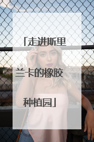 走进斯里兰卡的橡胶种植园