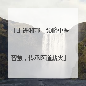 走进湘鄂｜领略中医智慧，传承医道薪火