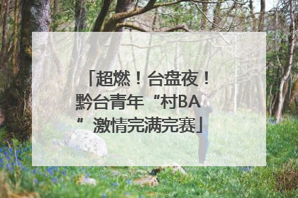 超燃！台盘夜！黔台青年“村BA”激情完满完赛