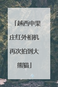 越西申果庄红外相机再次拍到大熊猫
