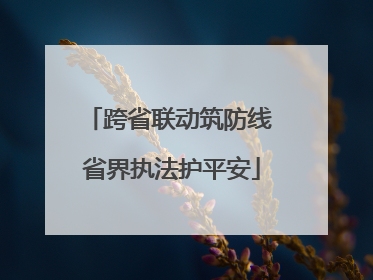跨省联动筑防线 省界执法护平安