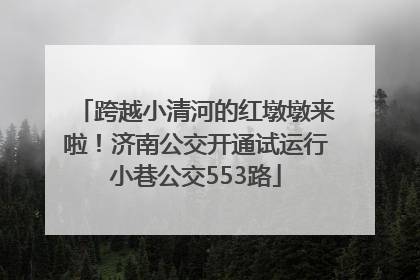跨越小清河的红墩墩来啦！济南公交开通试运行小巷公交553路