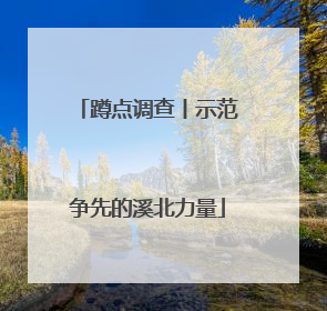 蹲点调查丨示范争先的溪北力量