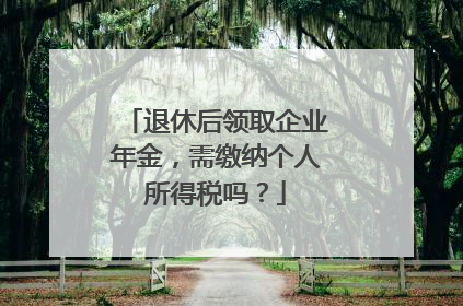 退休后领取企业年金，需缴纳个人所得税吗？