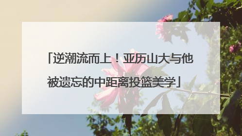 逆潮流而上！亚历山大与他被遗忘的中距离投篮美学