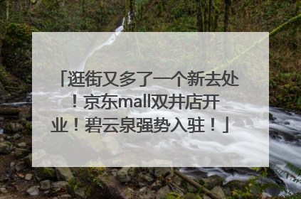 逛街又多了一个新去处！京东mall双井店开业！碧云泉强势入驻！