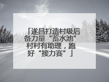 遂昌打造村级后备力量“蓄水池” 村村有助理，跑好“接力赛”