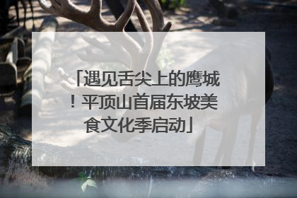 遇见舌尖上的鹰城！平顶山首届东坡美食文化季启动