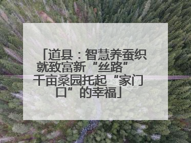 道县：智慧养蚕织就致富新“丝路” 千亩桑园托起“家门口”的幸福