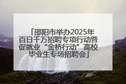 邵阳市举办2025年百日千万招聘专项行动暨促就业“金桥行动”高校毕业生专场招聘会