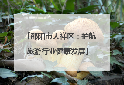 邵阳市大祥区：护航旅游行业健康发展