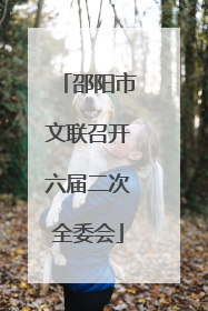 邵阳市文联召开六届二次全委会