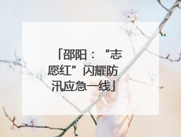 邵阳：“志愿红”闪耀防汛应急一线