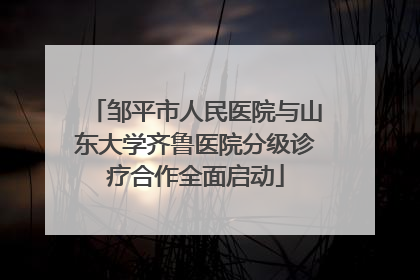 邹平市人民医院与山东大学齐鲁医院分级诊疗合作全面启动