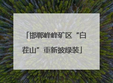 邯郸峰峰矿区“白茬山”重新披绿装