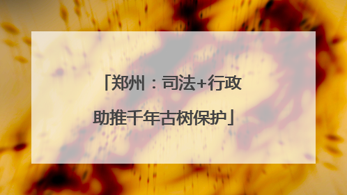 郑州：司法+行政助推千年古树保护