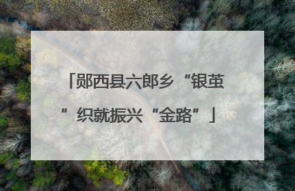 郧西县六郎乡“银茧”织就振兴“金路”
