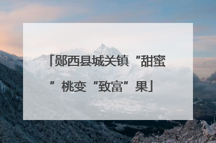 郧西县城关镇“甜蜜”桃变“致富”果