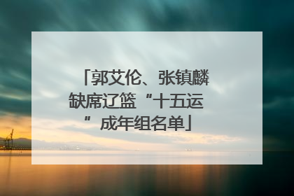 郭艾伦、张镇麟缺席辽篮“十五运”成年组名单