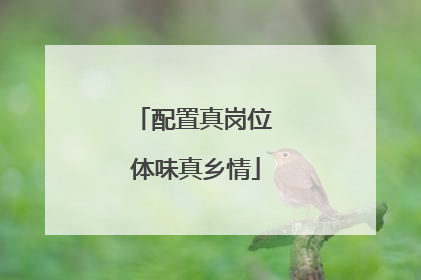 配置真岗位 体味真乡情