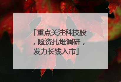 重点关注科技股，险资扎堆调研，发力长钱入市