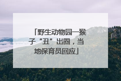 野生动物园一猴子“丑”出圈，当地保育员回应