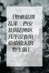 野蘑菇别乱采：西安及周边地区几乎没食用价值较大的野生菌