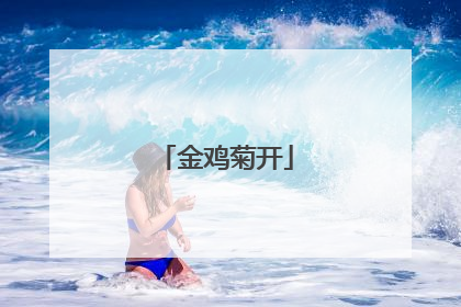 金鸡菊开