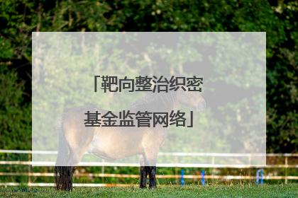 靶向整治织密基金监管网络