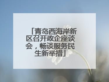 青岛西海岸新区召开政企座谈会，畅谈服务民生新举措