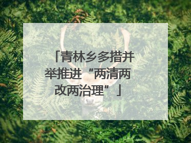 青林乡多措并举推进“两清两改两治理”