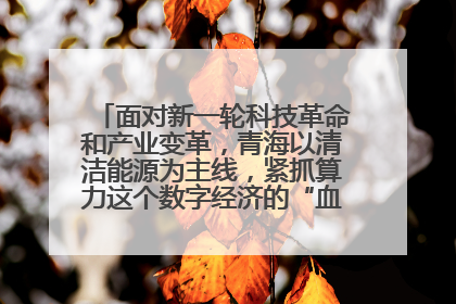 面对新一轮科技革命和产业变革，青海以清洁能源为主线，紧抓算力这个数字经济的“血液”、科技主权的“筹码”、产业升级的“杠杆”、绿色转型的“支点”，勇于撬动国家“双碳”战略、“东数西算”工程重大发展新机遇