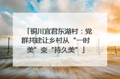 铜川宜君东湖村：党群共建让乡村从“一时美”变“持久美”