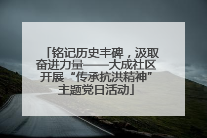 铭记历史丰碑，汲取奋进力量——大成社区开展“传承抗洪精神”主题党日活动